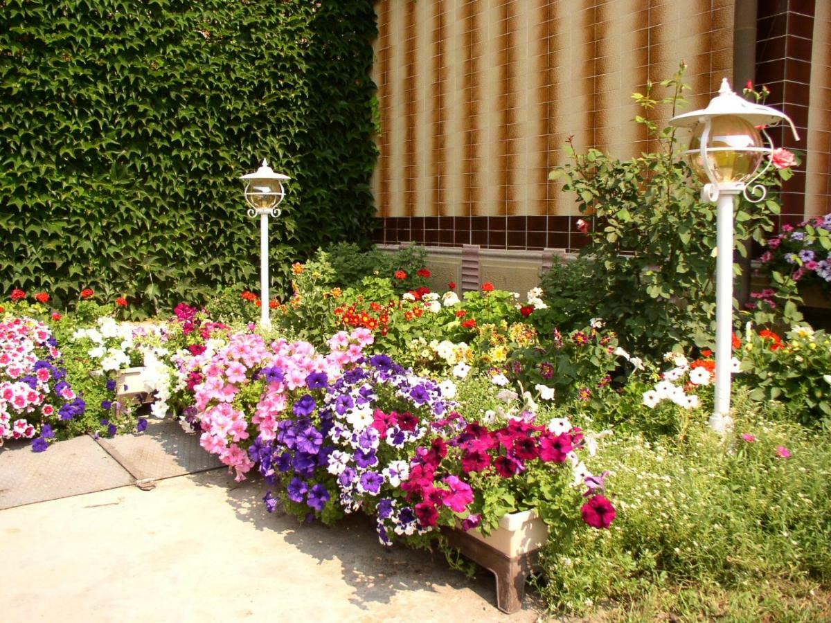 Amália Apartman Gyula Exterior foto