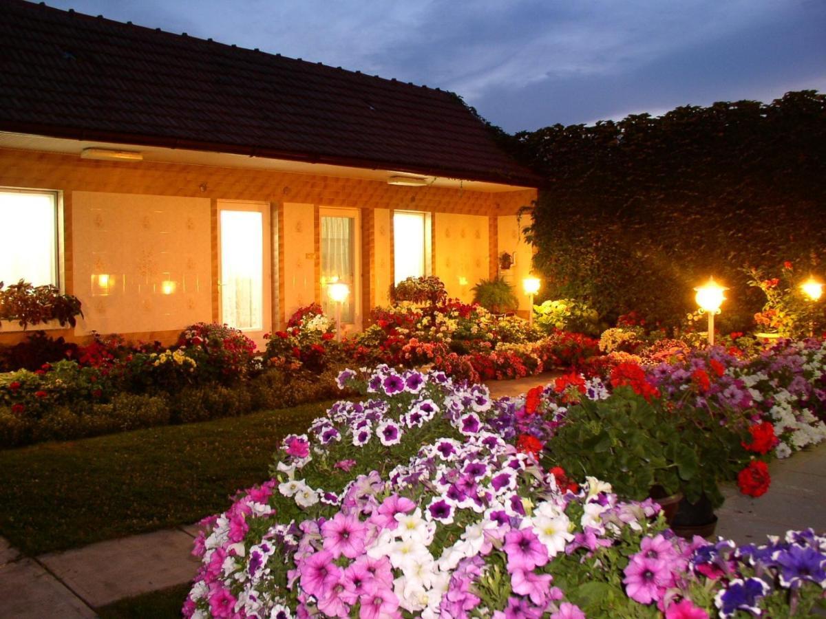 Amália Apartman Gyula Exterior foto